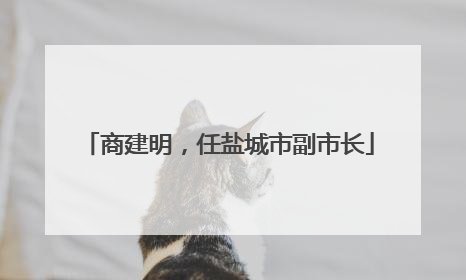 商建明，任盐城市副市长
