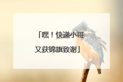 嘿！快递小哥又获锦旗致谢