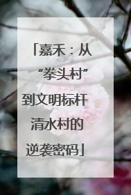嘉禾：从“拳头村”到文明标杆 清水村的逆袭密码