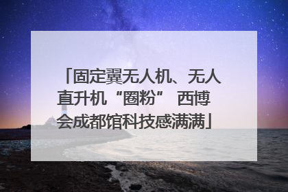 固定翼无人机、无人直升机“圈粉” 西博会成都馆科技感满满
