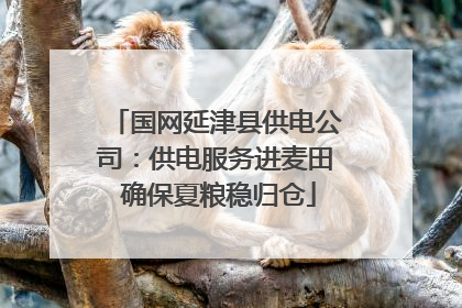 国网延津县供电公司：供电服务进麦田 确保夏粮稳归仓