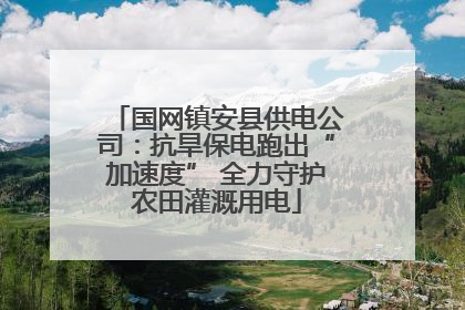 国网镇安县供电公司：抗旱保电跑出“加速度” 全力守护农田灌溉用电