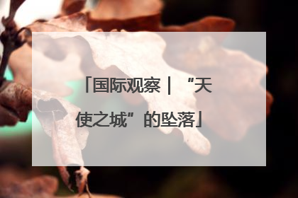 国际观察｜“天使之城”的坠落
