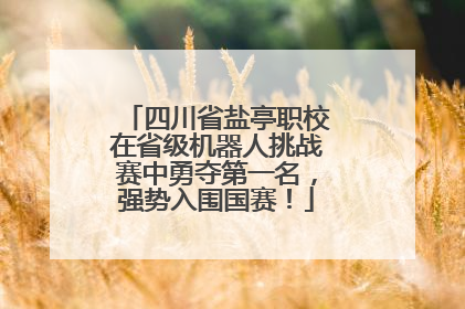 四川省盐亭职校在省级机器人挑战赛中勇夺第一名，强势入围国赛！