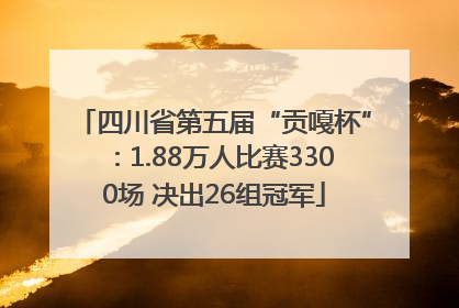 四川省第五届“贡嘎杯”：1.88万人比赛3300场 决出26组冠军