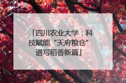 四川农业大学：科技赋能“天府粮仓”谱写稻香新篇