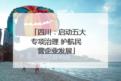 四川：启动五大专项治理 护航民营企业发展
