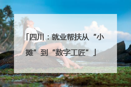 四川：就业帮扶从“小摊”到“数字工匠”