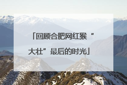 回顾合肥网红猴“大壮”最后的时光