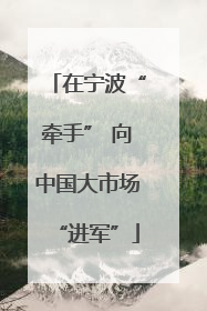 在宁波“牵手” 向中国大市场“进军”