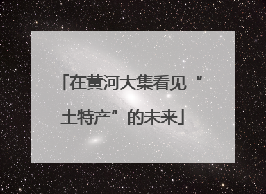 在黄河大集看见“土特产”的未来