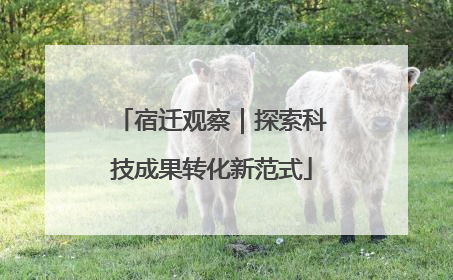 宿迁观察｜探索科技成果转化新范式