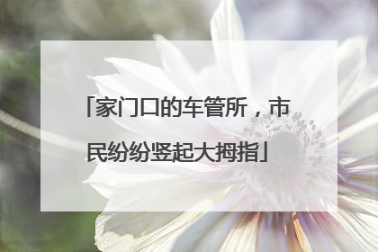 家门口的车管所，市民纷纷竖起大拇指