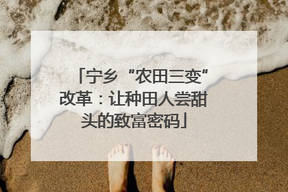 宁乡“农田三变”改革：让种田人尝甜头的致富密码