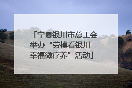 宁夏银川市总工会举办“劳模看银川 幸福微疗养”活动