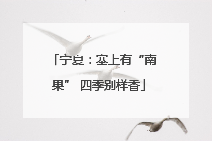 宁夏：塞上有“南果” 四季别样香