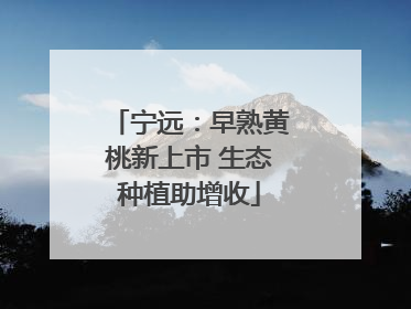 宁远：早熟黄桃新上市 生态种植助增收