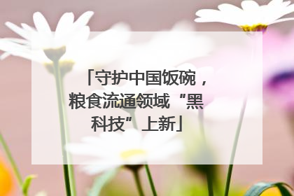 守护中国饭碗，粮食流通领域“黑科技”上新