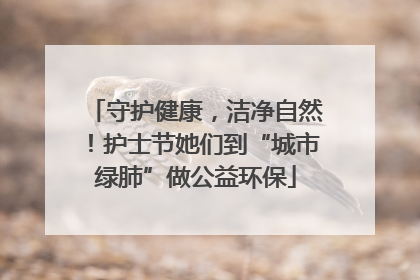 守护健康，洁净自然！护士节她们到“城市绿肺”做公益环保