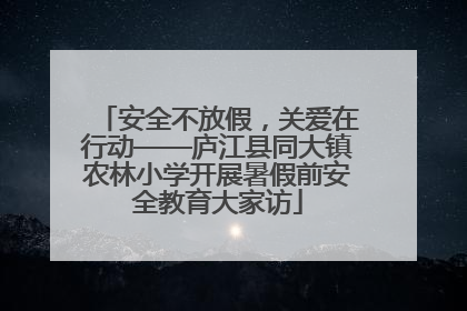 安全不放假，关爱在行动——庐江县同大镇农林小学开展暑假前安全教育大家访