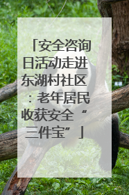 安全咨询日活动走进东湖村社区：老年居民收获安全“三件宝”