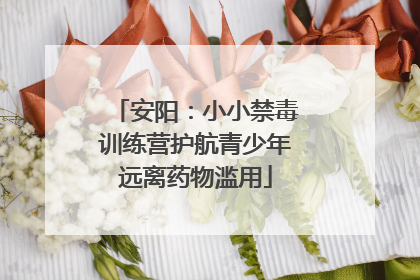 安阳：小小禁毒训练营护航青少年远离药物滥用