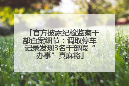 官方披露纪检监察干部查案细节：调取停车记录发现3名干部假“办事”真麻将