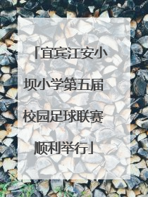 宜宾江安小坝小学第五届校园足球联赛顺利举行