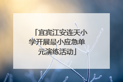 宜宾江安连天小学开展最小应急单元演练活动