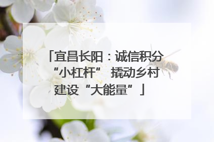 宜昌长阳：诚信积分“小杠杆” 撬动乡村建设“大能量”