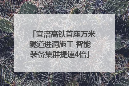 宜涪高铁首座万米隧道进洞施工 智能装备集群提速4倍
