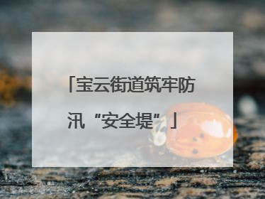 宝云街道筑牢防汛“安全堤”