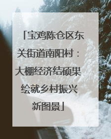 宝鸡陈仓区东关街道南阳村：大棚经济结硕果 绘就乡村振兴新图景