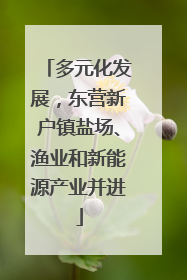 多元化发展，东营新户镇盐场、渔业和新能源产业并进
