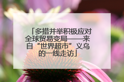 多措并举积极应对全球贸易变局——来自“世界超市”义乌的一线走访