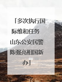 多次执行国际维和任务 山东公安民警陈强亮相国新办