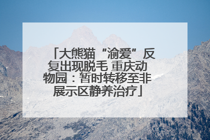 大熊猫“渝爱”反复出现脱毛 重庆动物园：暂时转移至非展示区静养治疗