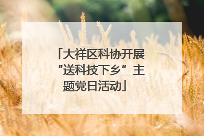 大祥区科协开展“送科技下乡”主题党日活动