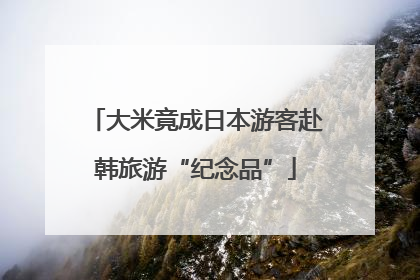 大米竟成日本游客赴韩旅游“纪念品”