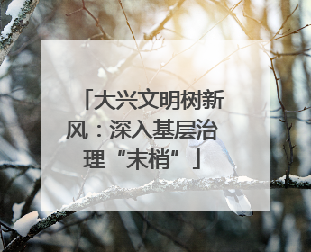 大兴文明树新风：深入基层治理“末梢”