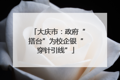 大庆市：政府“搭台”为校企银“穿针引线”