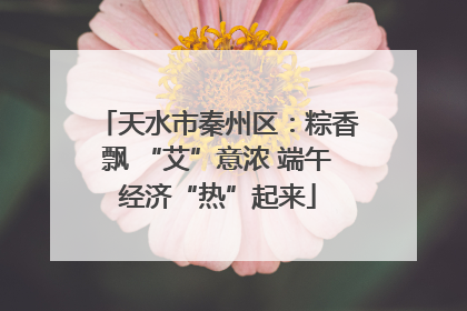 天水市秦州区：粽香飘 “艾”意浓 端午经济“热”起来