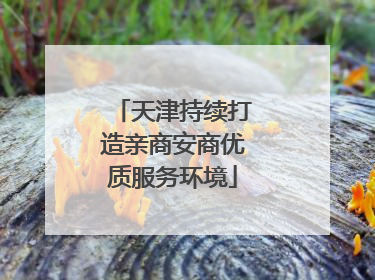 天津持续打造亲商安商优质服务环境