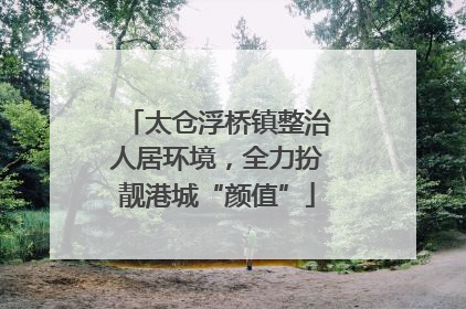 太仓浮桥镇整治人居环境，全力扮靓港城“颜值”