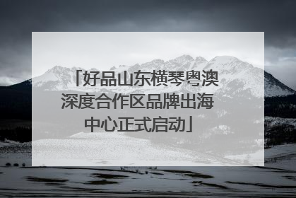 好品山东横琴粤澳深度合作区品牌出海中心正式启动