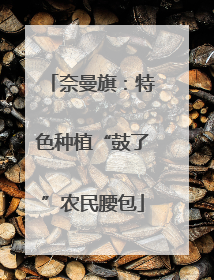 奈曼旗：特色种植“鼓了”农民腰包
