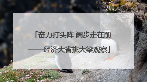 奋力打头阵 阔步走在前——经济大省挑大梁观察