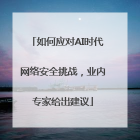 如何应对AI时代网络安全挑战，业内专家给出建议