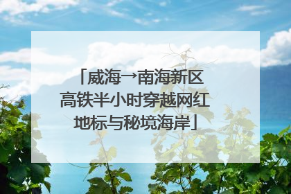 威海→南海新区 高铁半小时穿越网红地标与秘境海岸