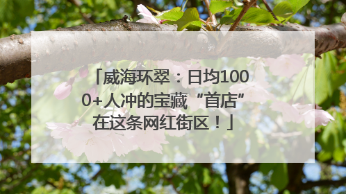 威海环翠：日均1000+人冲的宝藏“首店”在这条网红街区！